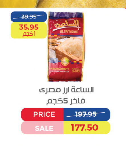 available at Exception Market in Egypt - Cairo