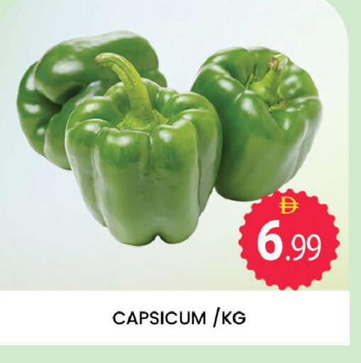 Capsicum available at المدينة in الإمارات العربية المتحدة , الامارات - دبي