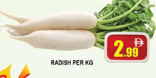 Radish available at المدينة in الإمارات العربية المتحدة , الامارات - دبي