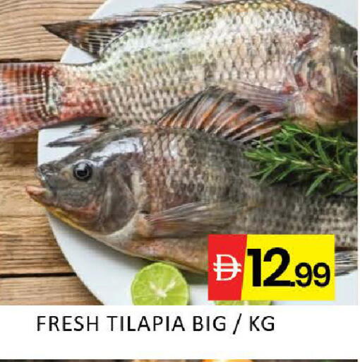 Mango available at مانجو هايبرماركت in الإمارات العربية المتحدة , الامارات - دبي