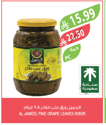 available at Farm  in KSA, Saudi Arabia, Saudi - Yanbu