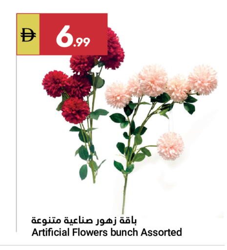 available at Grand Emirates Market in UAE - Abu Dhabi