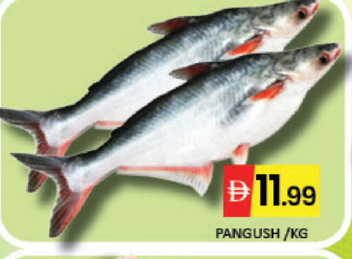 Mango available at Mango Hypermarket LLC in UAE - Dubai