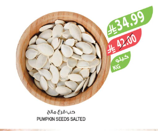 Pumpkin available at Farm  in KSA, Saudi Arabia, Saudi - Al Hasa