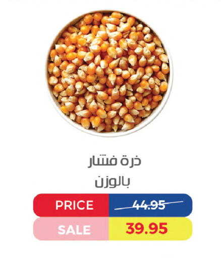 available at Exception Market in Egypt - Cairo