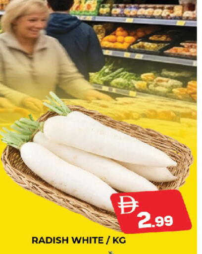 Radish available at المدينة in الإمارات العربية المتحدة , الامارات - دبي