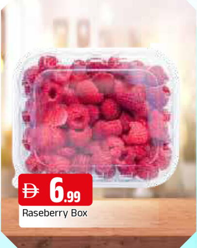 available at المدينة in الإمارات العربية المتحدة , الامارات - الشارقة / عجمان