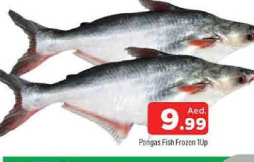 available at المدينة in الإمارات العربية المتحدة , الامارات - الشارقة / عجمان