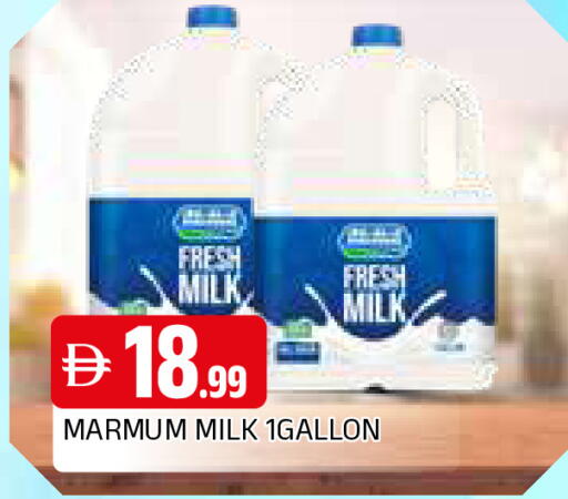 available at المدينة in الإمارات العربية المتحدة , الامارات - الشارقة / عجمان