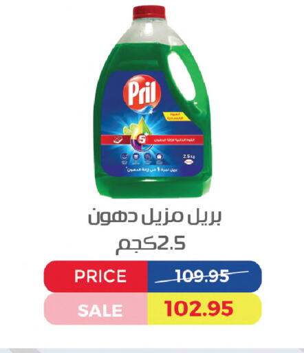 available at Exception Market in Egypt - Cairo
