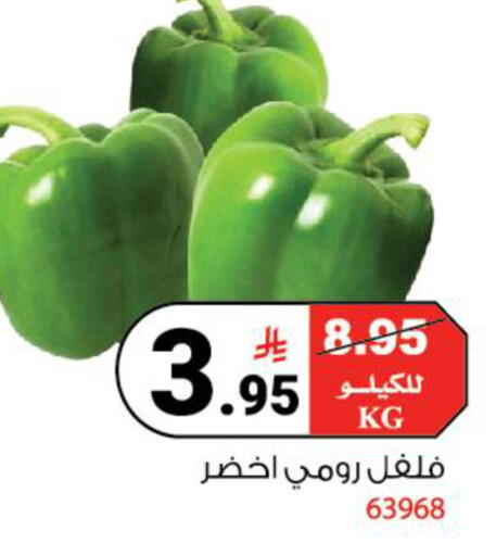 available at House Care in KSA, Saudi Arabia, Saudi - Mecca