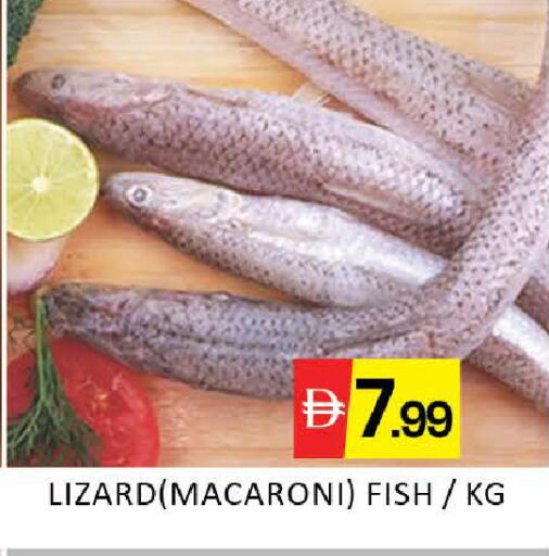 Mango available at مانجو هايبرماركت in الإمارات العربية المتحدة , الامارات - دبي