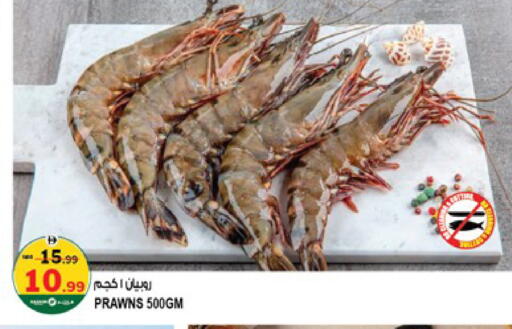 available at هاشم هايبرماركت in الإمارات العربية المتحدة , الامارات - الشارقة / عجمان