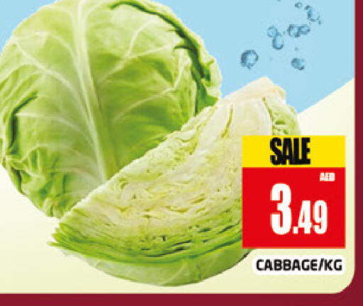 Cabbage available at المدينة in الإمارات العربية المتحدة , الامارات - دبي
