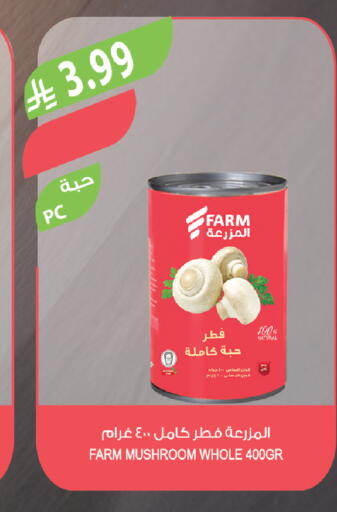 Mushroom available at المزرعة in مملكة العربية السعودية, السعودية, سعودية - سكاكا