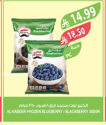 Blueberry BlueBerry Blackberry available at Farm  in KSA, Saudi Arabia, Saudi - Arar