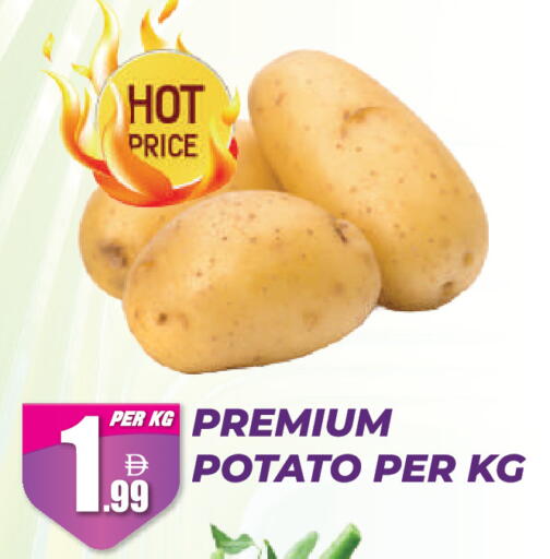 available at دريم لاند in الإمارات العربية المتحدة , الامارات - دبي