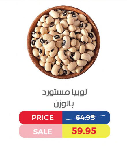 available at Exception Market in Egypt - Cairo