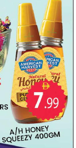 available at المدينة in الإمارات العربية المتحدة , الامارات - دبي