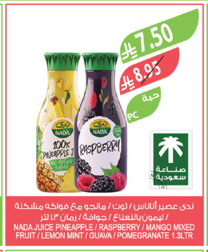 Pineapple Raspberry Mango Lemon Guava Pomegranate Mint available at Farm  in KSA, Saudi Arabia, Saudi - Sakaka