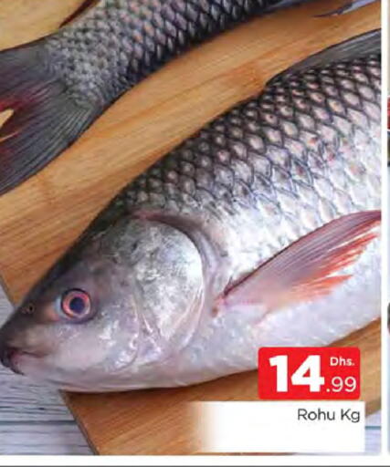 available at المدينة in الإمارات العربية المتحدة , الامارات - دبي