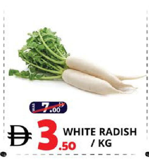 Radish available at اكسبرس المدينة هايبرماركت in الإمارات العربية المتحدة , الامارات - أبو ظبي