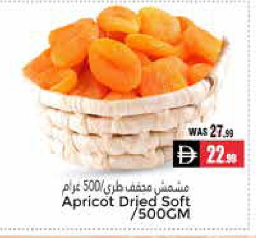 Apricot available at مجموعة باسونس in الإمارات العربية المتحدة , الامارات - ٱلْعَيْن‎