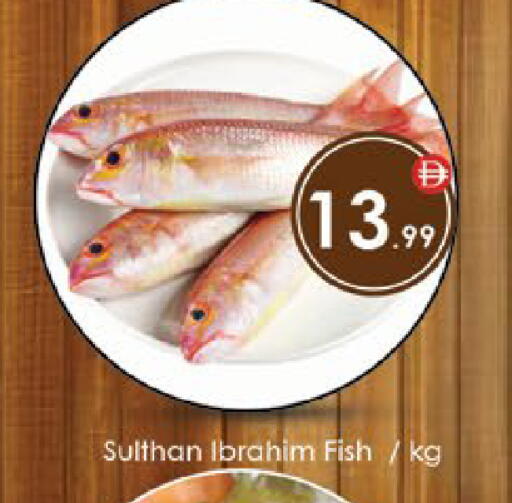 available at ايكو مول & ايكو هايبرماركت in الإمارات العربية المتحدة , الامارات - ٱلْعَيْن‎