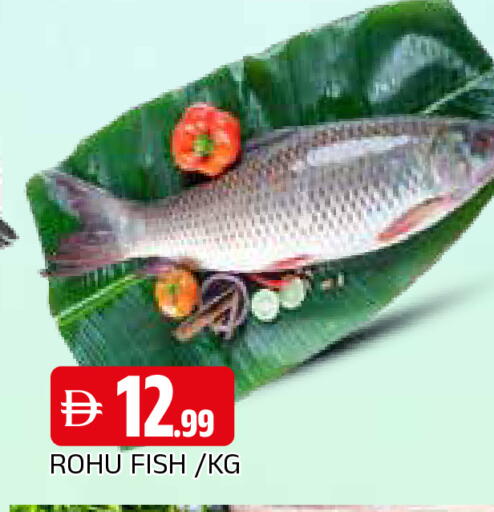 available at AL MADINA in UAE - Sharjah / Ajman