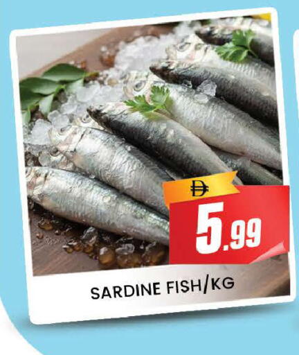 available at المدينة in الإمارات العربية المتحدة , الامارات - دبي