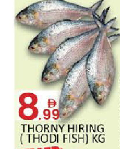 available at Al Madina  in UAE - Dubai