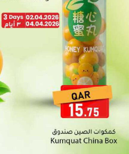 Kumquat available at دانا ماركت in قطر - الضعاين