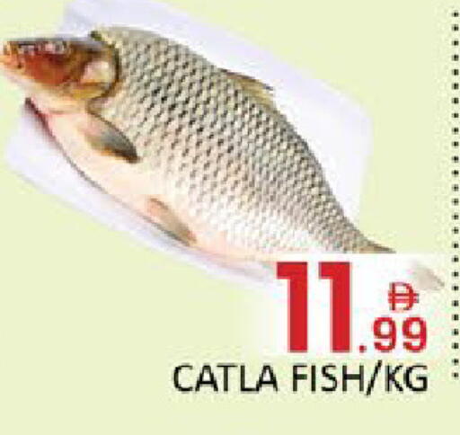 available at Al Madina  in UAE - Dubai