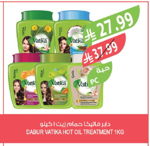 Coconut Garlic available at Farm  in KSA, Saudi Arabia, Saudi - Jeddah