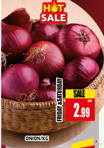Onion available at AL MADINA (Dubai) in UAE - Dubai