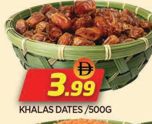 available at المدينة in الإمارات العربية المتحدة , الامارات - الشارقة / عجمان