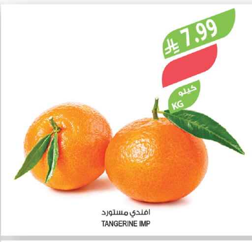 available at Farm  in KSA, Saudi Arabia, Saudi - Tabuk