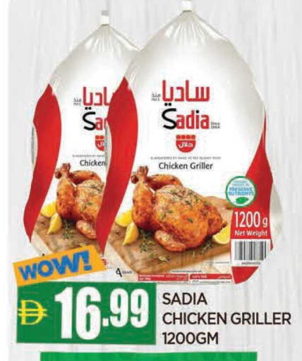 available at المدينة in الإمارات العربية المتحدة , الامارات - الشارقة / عجمان