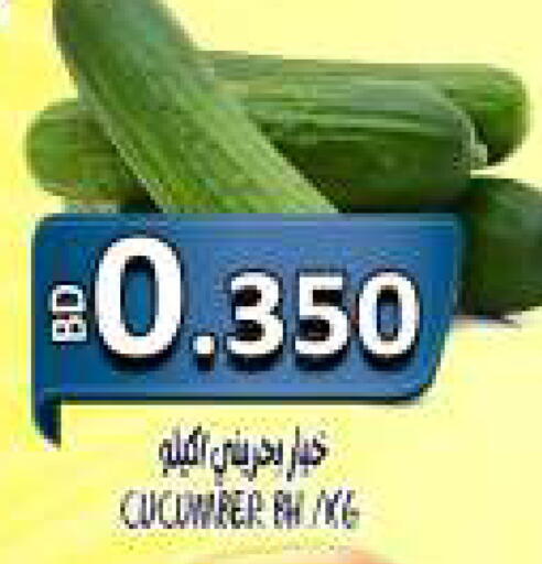 Cucumber available at Hassan Mahmood Group in Bahrain