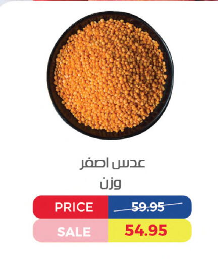 available at Exception Market in Egypt - Cairo
