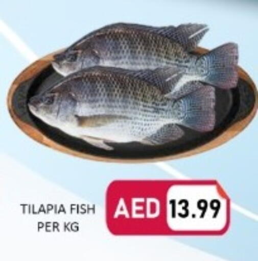 available at متجر الهدايا الخضراء in الإمارات العربية المتحدة , الامارات - أبو ظبي