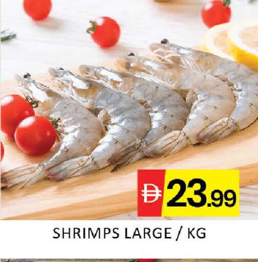 Mango available at مانجو هايبرماركت in الإمارات العربية المتحدة , الامارات - دبي