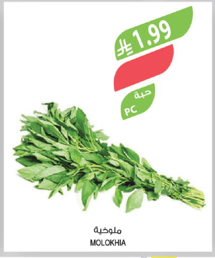 available at Farm  in KSA, Saudi Arabia, Saudi - Tabuk