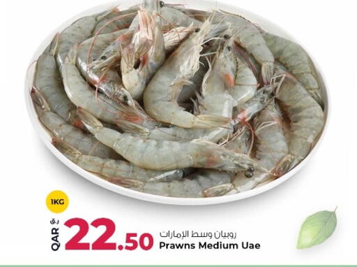 available at روابي هايبرماركت in قطر - الدوحة