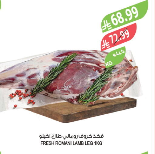 available at المزرعة in مملكة العربية السعودية, السعودية, سعودية - الخبر‎