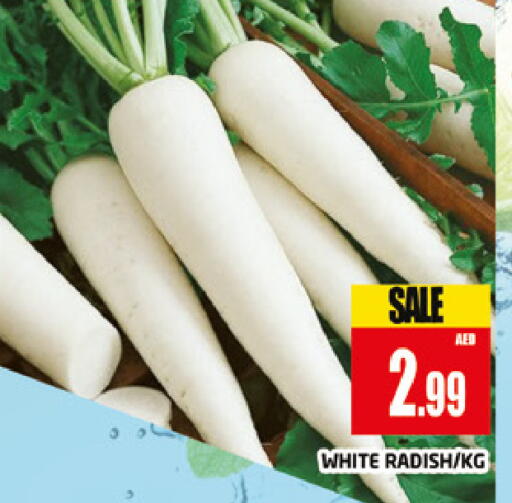 Radish available at المدينة in الإمارات العربية المتحدة , الامارات - دبي