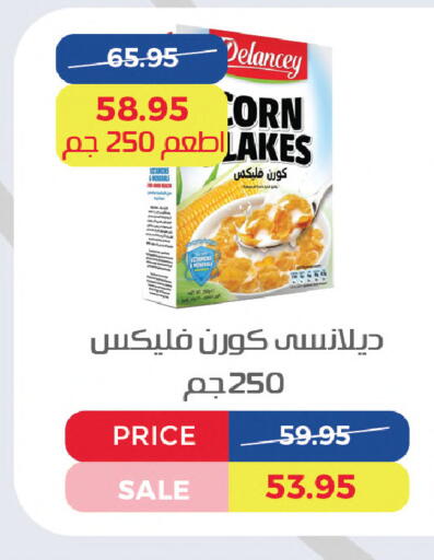 available at Exception Market in Egypt - Cairo