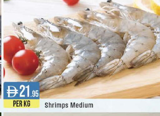 available at ويست زون سوبرماركت in الإمارات العربية المتحدة , الامارات - دبي