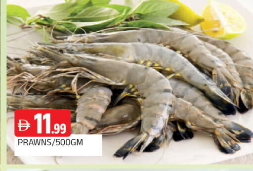 available at AL MADINA in UAE - Sharjah / Ajman