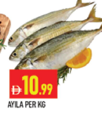 available at المدينة in الإمارات العربية المتحدة , الامارات - دبي